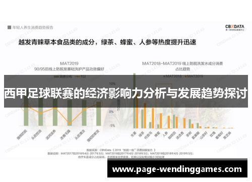 西甲足球联赛的经济影响力分析与发展趋势探讨